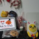 써니펫시터 이미지