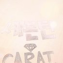 해피캐럿