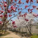 배다리공원 이미지