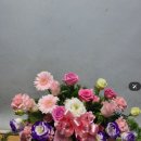 대명꽃화원 | 단양군 꽃배달, 단양군 꽃집 ,단양 꽃집추천 단양꽃사랑화원 블로그 🌸