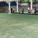 2025년 6월19일 이미지