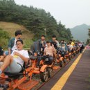 담양곡성타임스