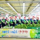 농협 하나로클럽 양재점 이미지