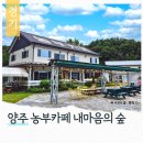 내마음의숲 | 양주 농부카페 내마음의 숲 레트로 감성 카페