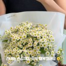 꽃눈개비플라워