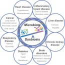 Microbiota in health and diseases 22년 nature review 이미지