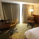 힐튼 경주 이미지