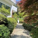 숲속한옥 이미지