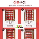 조이팜