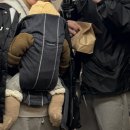 맥스하우스 | 아기띠 포그내 맥스플로우 라이트 베이지 올인원 아기띠 구매 후기 _ 베이비하우스 대구