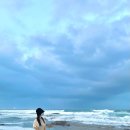 미아니아 이미지