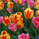 태한산업 이미지