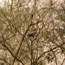 월성 스테이 이미지