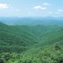 칠갑산자연휴양림 이미지