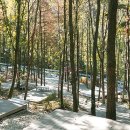 바라산자연휴양림 이미지