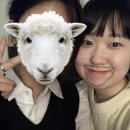 형주목장 네이버블로그