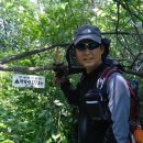 성포경로식당 이미지