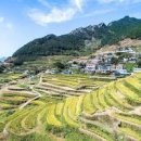 남해 가볼만한곳 가천 다랭이마을 주차 정보까지 이미지