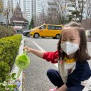 영생어린이집 이미지