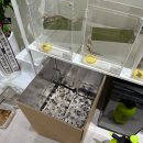 포곡로108번길 | 용인 파충류샵 크레빈 방문 후기