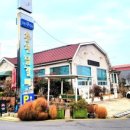 오천수족관 이미지