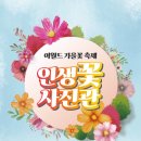 월광사진관 이미지