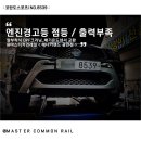 Y.n스포츠