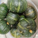 다민농장 이미지