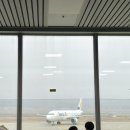 디어퐁퐁 이미지