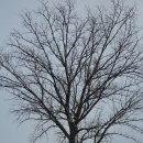 빠담목장 이미지