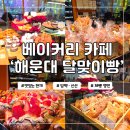 샐러드요 | 을지로베이커리카페 해운대달맞이빵 다이어트 샐러드 후기