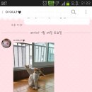 싹퉁머리 이미지