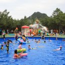 고래불국민야영장 이미지