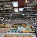 코코넛 잡화점 이미지