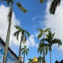싱가포르] 가볼만한 곳 < 하지레인(Haji Lane)과 아랍스트리트(Arab Street), 술탄 모스트> 감성 로컬 후기
