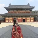 아이유 티브이데일리