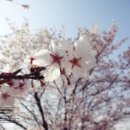 강서노인종합복지관 이미지