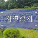 자연장지 | 자연장지 방문 전 준비해야 할 기본 체크리스트