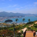 완도타워 이미지