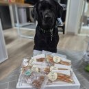 호이해이 이미지