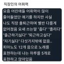 선하식품 | 2월 결산