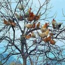 예담이네 이미지