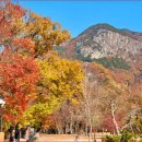 고요316 이미지