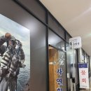 자연횟집(판교) | 판교 직장인점심 자연횟집 점심식사후기 (회덮밥, 초밥, 탕탕이)
