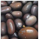 진도현대미술관 이미지