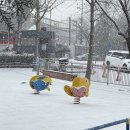 [월곡역] 티히커피_행운의 네잎클로버 케이크와 커피후기