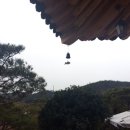 희재농장 네이버블로그