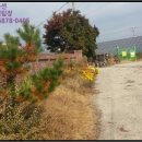 남산리 입석 이미지