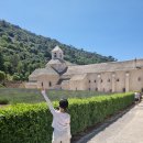 세낭크 | 프랑스, 이탈리아 신혼여행 후기(캠핑, 돌로미티 트레킹) / ep.7 세낭크수도원(라벤더) + 고흐드...