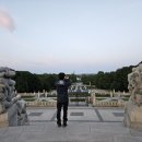 노리튼